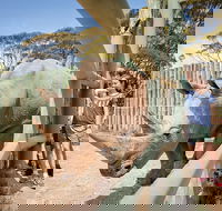 Rhino Interactive and a day at Monarto Safari Park - Accommodation Fremantle