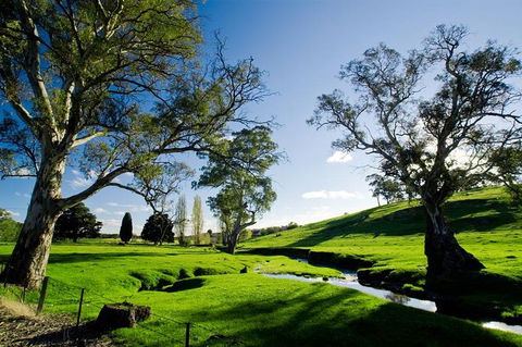 Adelaide Highlights And Hahndorf Tour With Optional River Cruise - Accommodation Fremantle 0
