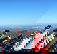 Mount Lofty Descent Bike Tour from Adelaide - Accommodation Fremantle