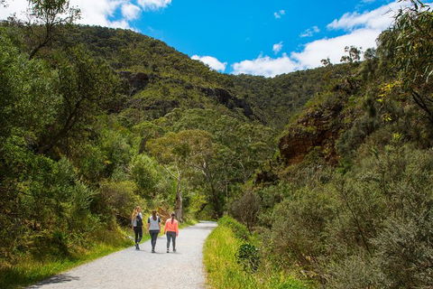 Morialta Wilderness And Wildlife Hike - Day Trip From Adelaide - Accommodation Fremantle 0