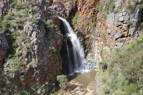 Morialta Wilderness And Wildlife Hike - Day Trip From Adelaide - Accommodation Fremantle 7