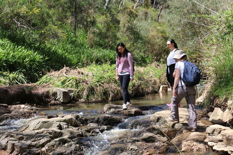 Morialta Wilderness And Wildlife Hike - Day Trip From Adelaide - Accommodation Fremantle 6