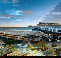 Victor Harbor and Southern Highlights from Adelaide Including Lunch - Accommodation Fremantle