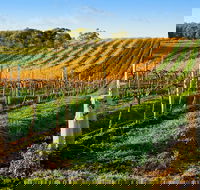 Victor Harbor with McLaren Vale Wine Region Tour from Adelaide - Accommodation Fremantle