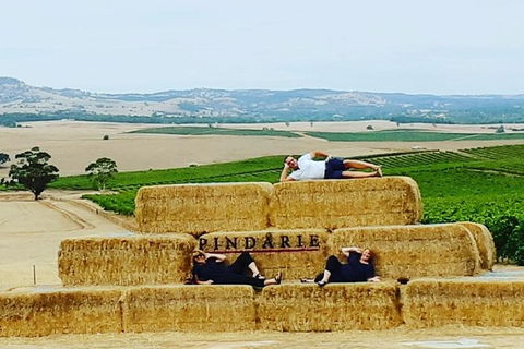 Barossa Wine Tasting Shared Tours - Accommodation Fremantle 6