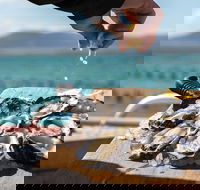 Experience Coffin Bay Oyster Farm and Bay Tour - Accommodation Fremantle