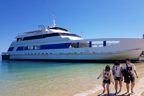 Moreton Island Day Trip (Kayak, Snorkel & Sandboard) Frm Brisbane Or Gold Coast - Accommodation Fremantle 10