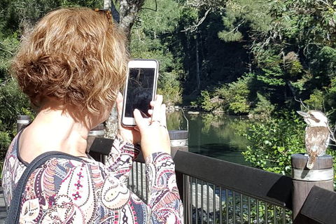Personalised Private Platypus Land Tour - Accommodation Fremantle 3