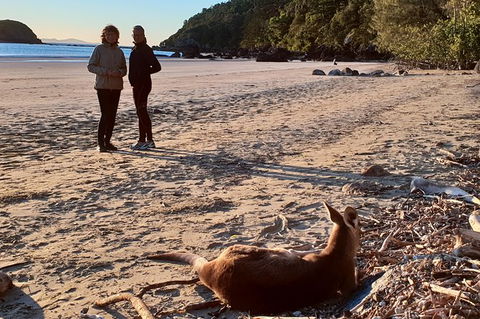 Personalised Private Platypus Land Tour - Accommodation Fremantle 10