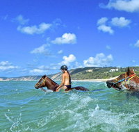 Horse Swimming Ride from Rainbow Beach - Accommodation Fremantle