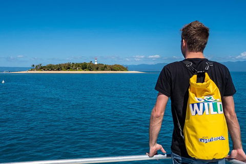 Half Day Low Isles Snorkelling Tour From Port Douglas - Accommodation Fremantle 5