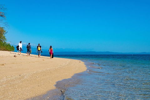 Half Day Low Isles Snorkelling Tour From Port Douglas - Accommodation Fremantle 3