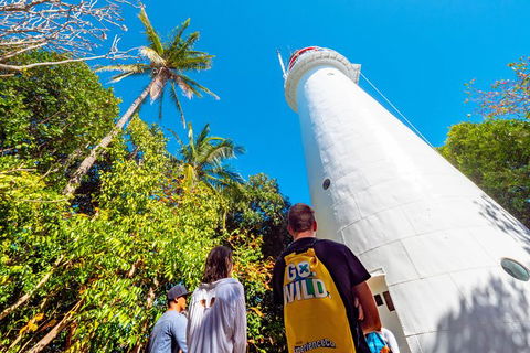 Half Day Low Isles Snorkelling Tour From Port Douglas - Accommodation Fremantle 7