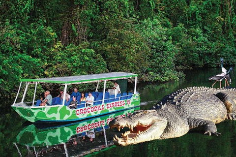 Daintree River Cruise - Accommodation Fremantle 7