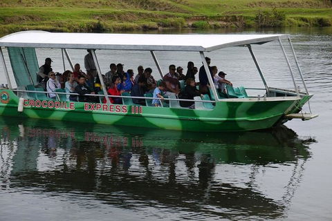 Daintree River Cruise - Accommodation Fremantle 2