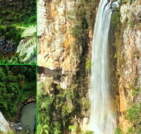 Rainforest  Waterfalls Extravaganza - Accommodation Fremantle