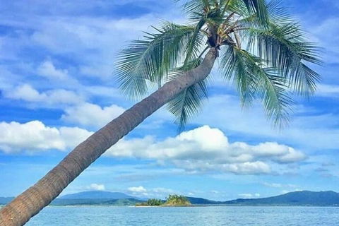 Dunk Island Round-Trip Water Taxi Transfer From Mission Beach - Accommodation Fremantle 6