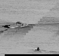 Overnight Tweed Coast Camping and Surfing Getaway From The Gold Coast - Accommodation Fremantle