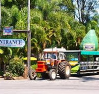 Tropical Fruit World with Wildlife Boat Cruise from Gold Coast - Accommodation Fremantle