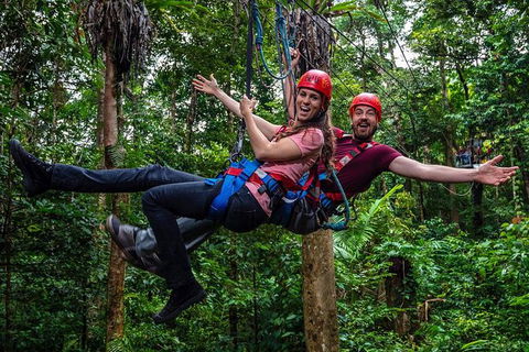 Daintree Atttractions Pass: The Best Of The Daintree In A Day - Accommodation Fremantle 1