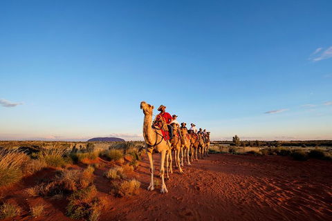 Uluru Small-Group Tour By Camel At Sunrise Or Sunset - Accommodation Fremantle 0