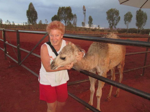 Uluru Small-Group Tour By Camel At Sunrise Or Sunset - Accommodation Fremantle 18