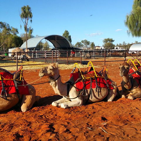 Uluru Small-Group Tour By Camel At Sunrise Or Sunset - Accommodation Fremantle 15