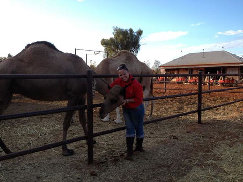 Uluru Small-Group Tour By Camel At Sunrise Or Sunset - Accommodation Fremantle 21