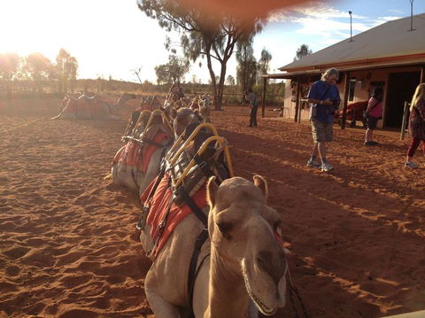 Uluru Small-Group Tour By Camel At Sunrise Or Sunset - Accommodation Fremantle 22