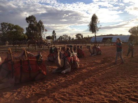 Uluru Small-Group Tour By Camel At Sunrise Or Sunset - Accommodation Fremantle 23