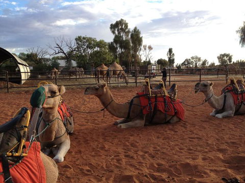 Uluru Small-Group Tour By Camel At Sunrise Or Sunset - Accommodation Fremantle 24