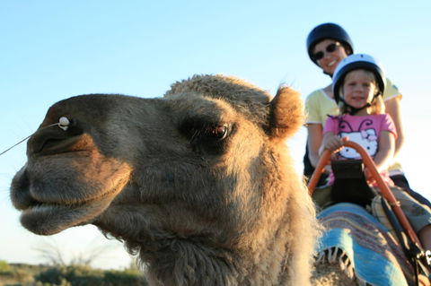 Uluru Small-Group Tour By Camel At Sunrise Or Sunset - Accommodation Fremantle 3