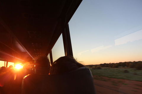 Kings Canyon Day Trip From Ayers Rock - Accommodation Fremantle 22