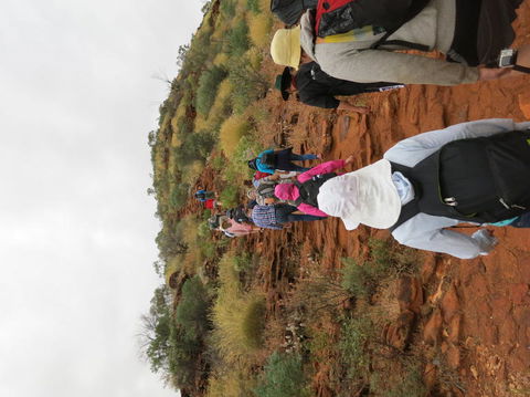 Kings Canyon Day Trip From Ayers Rock - Accommodation Fremantle 14