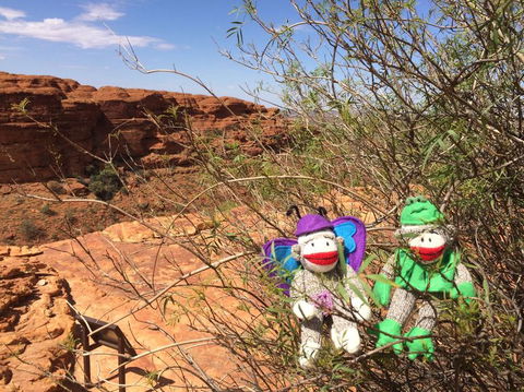 Kings Canyon Day Trip From Ayers Rock - Accommodation Fremantle 23