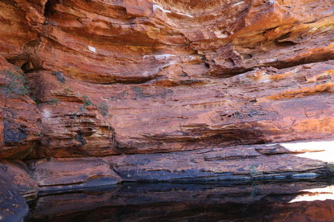 Kings Canyon Day Trip From Ayers Rock - Accommodation Fremantle 16