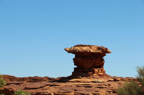 Kings Canyon Day Trip From Ayers Rock - Accommodation Fremantle 17