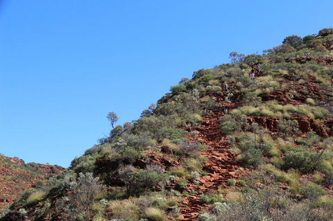 Kings Canyon Day Trip From Ayers Rock - Accommodation Fremantle 21
