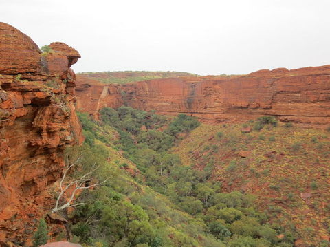 Kings Canyon Day Trip From Ayers Rock - Accommodation Fremantle 13