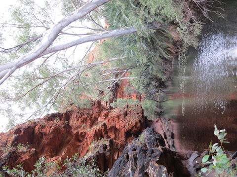 Kings Canyon Day Trip From Ayers Rock - Accommodation Fremantle 11