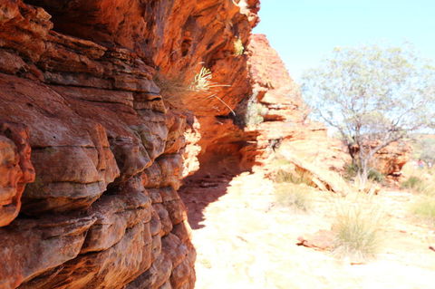 Kings Canyon Day Trip From Ayers Rock - Accommodation Fremantle 20