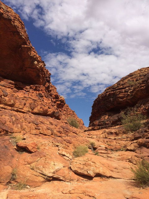 Kings Canyon Day Trip From Ayers Rock - Accommodation Fremantle 25