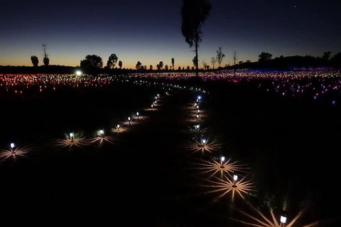Uluru Field Of Light Sunrise Tour - Accommodation Fremantle 2