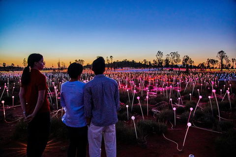 Uluru Field Of Light Sunrise Tour - Accommodation Fremantle 0