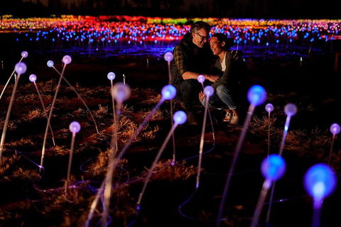 Uluru Field Of Light Sunrise Tour - Accommodation Fremantle 6