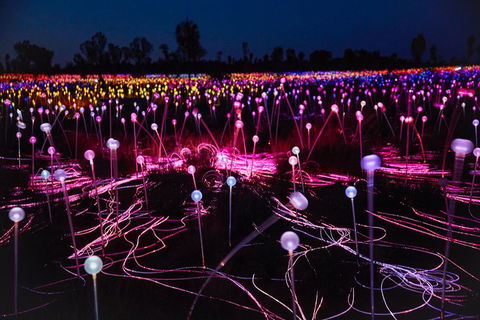 Uluru Field Of Light Sunrise Tour - Accommodation Fremantle 13