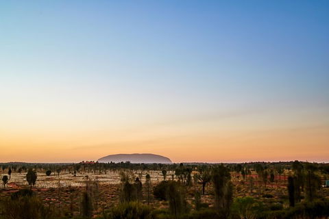 Uluru Field Of Light Sunrise Tour - Accommodation Fremantle 12