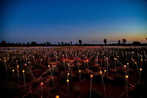 Uluru Field Of Light Sunrise Tour - Accommodation Fremantle 7