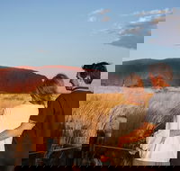 Uluru Ayers Rock Sunset with Outback Barbecue Dinner and Star Tour - Accommodation Fremantle