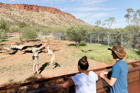 Alice Springs Desert Park General Entry Ticket - Accommodation Fremantle 9